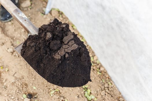 Spade with ground black earth.