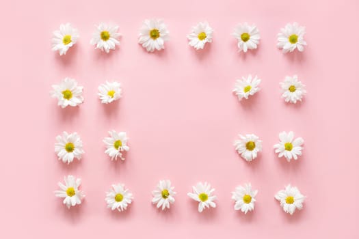 Frame made of white flowers buds on pink background. Flat lay, top view. Spring blog concept/