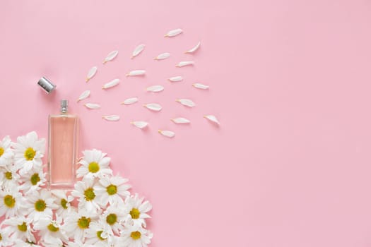 Fresh spring perfume sprays flower petals. Floral aroma metaphor. Glass jar with lot of daisy flowers buds on pink background. Top view, flat lay