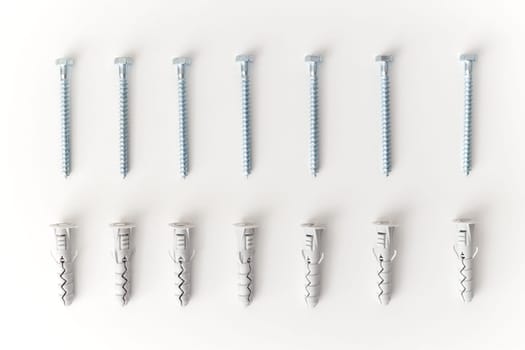 Dowels and fasteners screws isolated on white background lying in row.