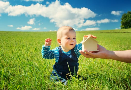 little boy with shape of house in beautiful green field on sunny day