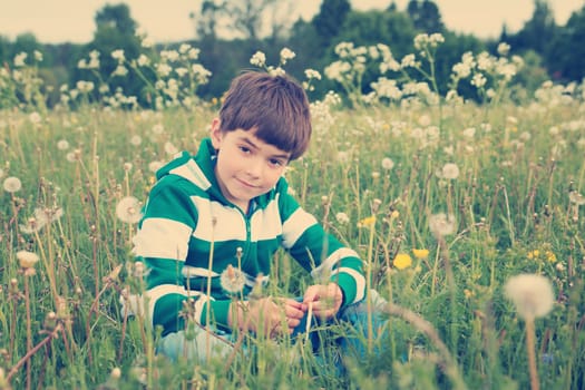 7 years old child sitting on the field with dandelions in summer