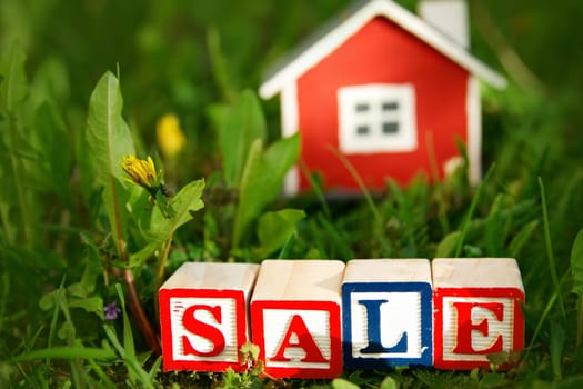 red wooden house model on the grass in garden