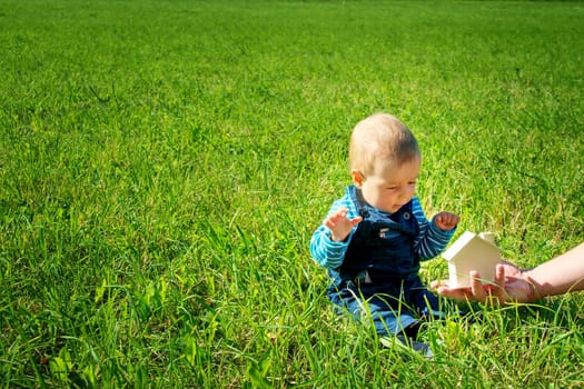 little boy with shape of house in beautiful green field on sunny day