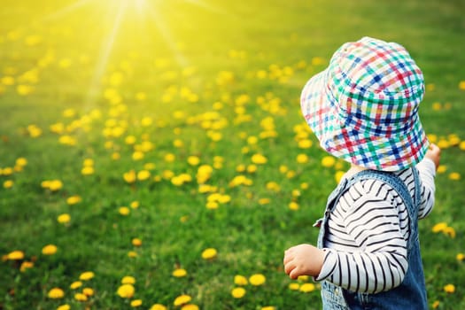 Little boy in hat standing on the field with dandelions in summer