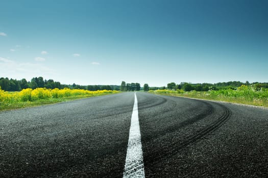 asphalt road view in countryside on sunny spring day