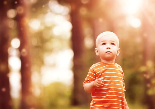 Little boy in the forest. Child looking up to the sky in the park in summer