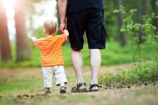 Father and son walking in the forest on summer day. Little child holding hand of a man