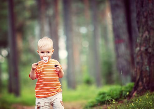 Happy little boy in the forest. Child in the park in summer