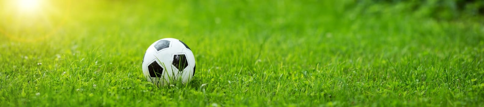 Black and whithe ball lying on green grass in summer