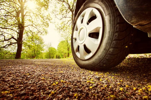 Car on asphalt road on spring day at park