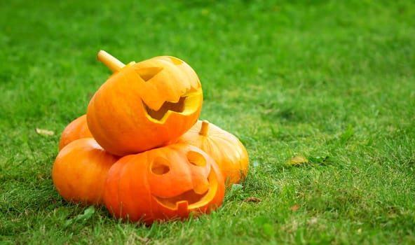 ripe pumpkins for halloween on green grass background