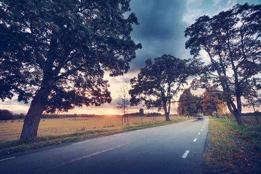 asphalt road with beautiful trees on the sides in autumn. Car moving on highway at sunset