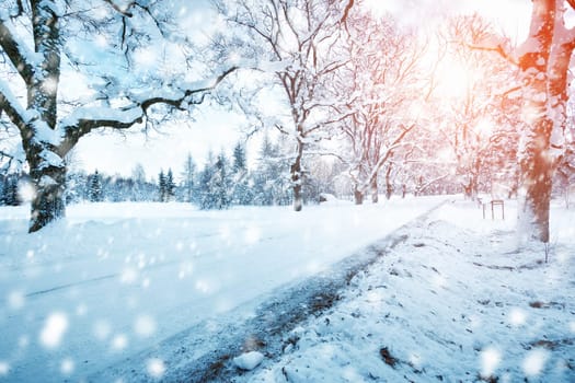 snow in winter on the road through alley with beautiful sunlight