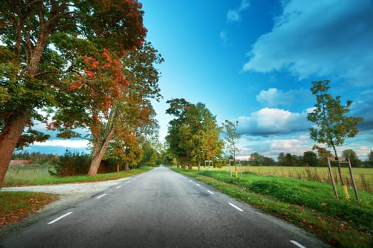 asphalt road with beautiful trees on the sides in autumn