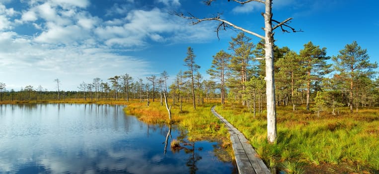 Viru bogs at Lahemaa national park in autumn. Wooden path at beautiful wild place in Estonia