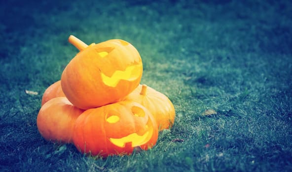 ripe pumpkins for halloween on green grass background