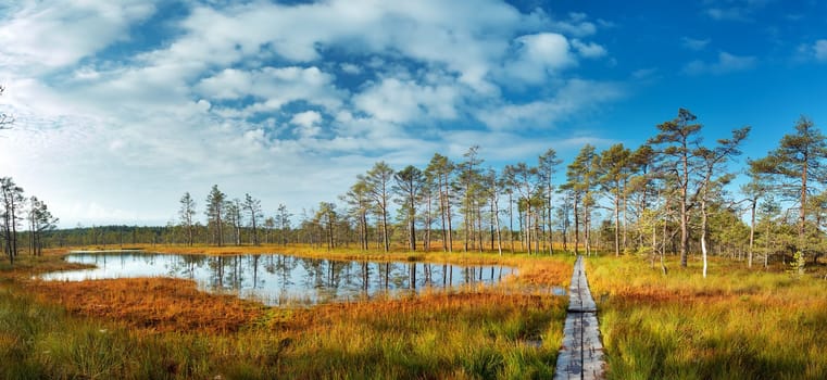 Viru bogs at Lahemaa national park in autumn. Wooden path at beautiful wild place in Estonia