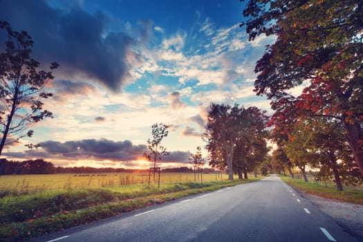 asphalt road with beautiful trees on the sides in autumn. Car moving on highway at sunset