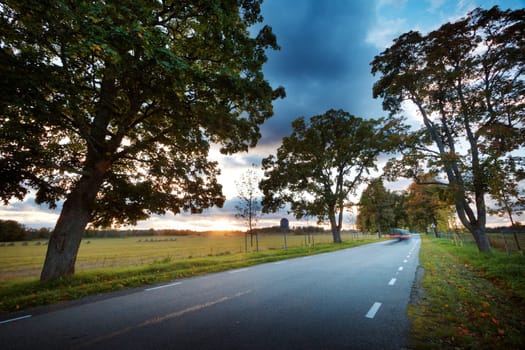 asphalt road with beautiful trees on the sides in autumn. Car moving on highway at sunset