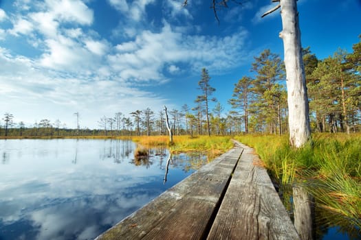 Viru bogs at Lahemaa national park in autumn. Wooden path at beautiful wild place in Estonia
