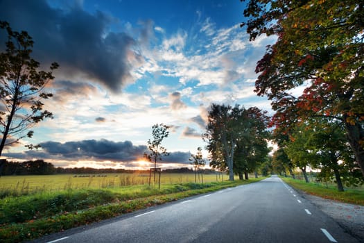 asphalt road with beautiful trees on the sides in autumn. Car moving on highway at sunset