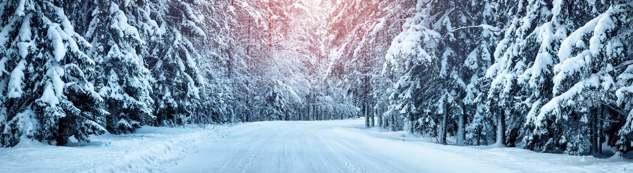 winter panorama on the road through coniferous forest