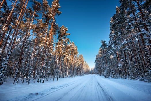 Asphalt road in snowy winter on beautiful frosty sunny day