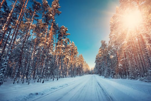 Asphalt road in snowy winter on beautiful frosty sunny day