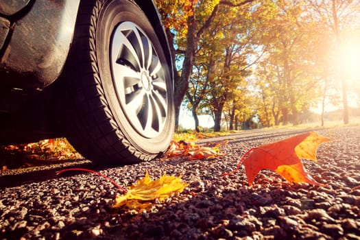 Car on asphalt road on autumnr day at park