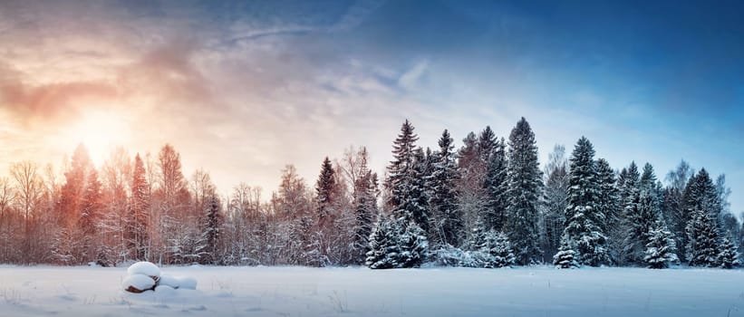 Beautiful tree in winter landscape in late evening in snowfall