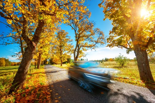 Car on asphalt road on autumnr day at park
