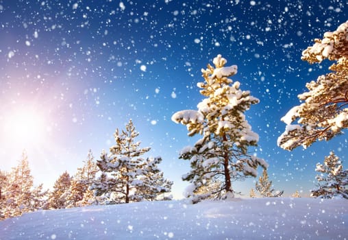 Beautiful tree in winter landscape in late evening in snowfall