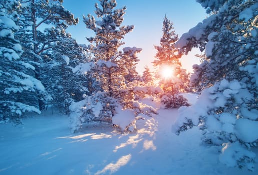 Beautiful tree in winter landscape in late evening in snowfall