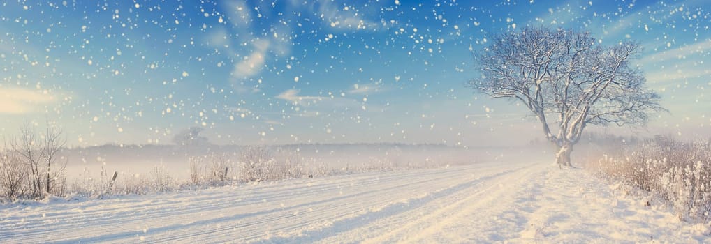 Lonely tree at off-road in the winter at beautiful sunny day in snowfall