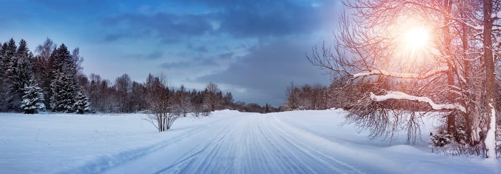 winter panorama on the road through coniferous forest