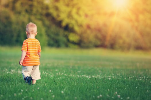Little boy wolking on the field. Child in the park in summer