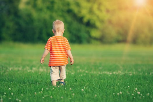 Little boy wolking on the field. Child in the park in summer