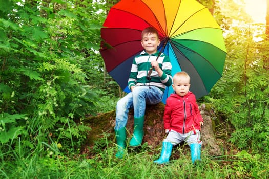 Children sitting in the park with colourful umbrella. Boys in rainy weather in the forest