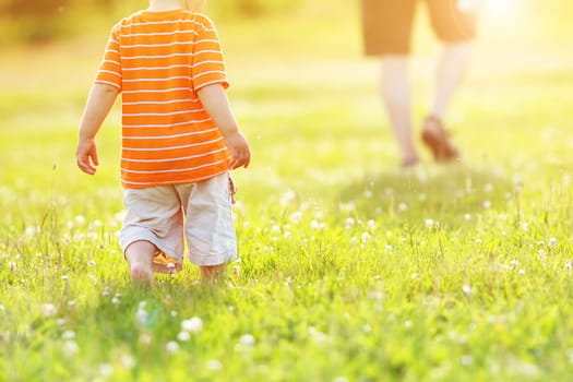 Little boy wolking on the field. Child in the park in summer