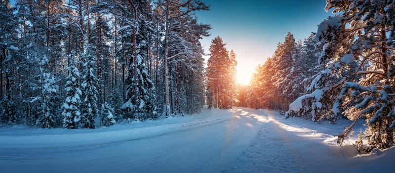 winter panorama on the road through coniferous forest