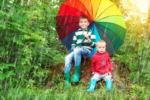 Children sitting in the park with colourful umbrella. Boys in rainy weather in the forest