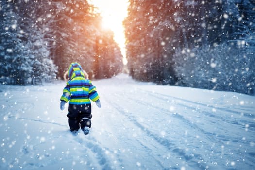 Baby boy walking at snowfall. Child in winter clothes playing with snow