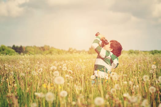 Child wathing in benoculars on the field with dandelions. Boy playing on the meadow in summer