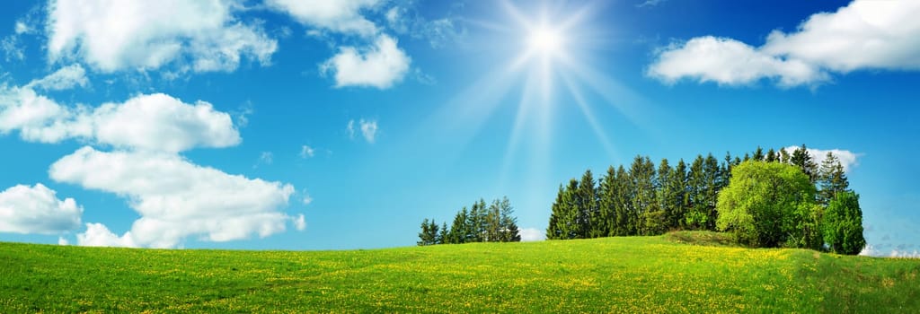 Green field with yellow dandelions and blue sky. Panoramic view to grass and flowers on the hill on sunny spring day