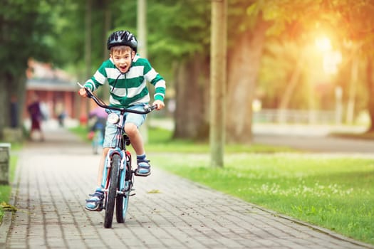 child on a bicycle at asphalt road in summer. Bike in the park