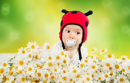 Cute baby lying in the bed on white blanket in ladybug hat. Little boy with chamomille flowers