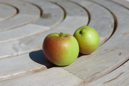 Close up of two organic and home grown apples on a grey circular wooden table. Selective focus and center frame subject. Bright day sunlight.