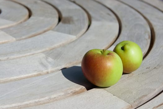 Lots of copy space left to two hand grown and picked garden apples on a bright sunny day. Selective focus on a circular grey wooden table. Fruit