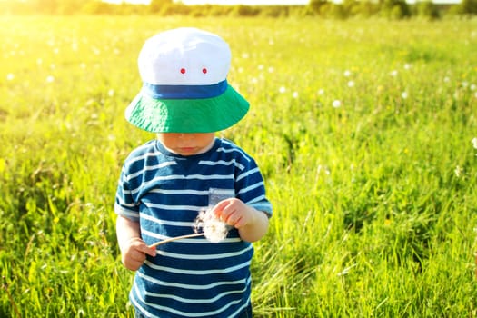 Happy baby boy standing in grass on the fieald with dandelions at sunny summer evening. Smiling child outdoors